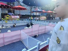 -三亚红色娘子军演艺公园景区