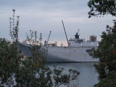 -麦考利夫人座椅