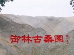 -御林古桑园