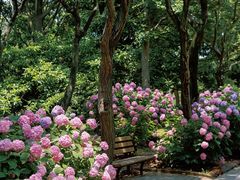 -上海共青森林公园