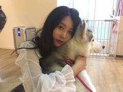 -Husky Go! 哈士奇体验馆·宠物咖啡厅狗咖