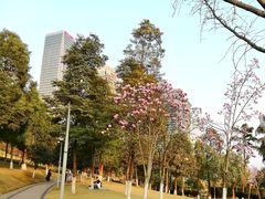 -重庆市江北嘴中央商务区中央公园