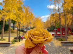 -苏州河梦清园环保主题公园