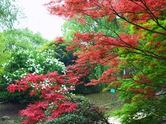 -共青国家森林公园-南大门停车场