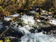 -叠溪松坪沟景区