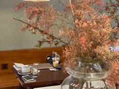 -SAFARI COFFEE