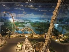 -自贡恐龙博物馆