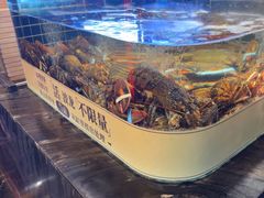 -雍容荟帝王蟹活龙虾展台自助(IFS黑金店)