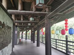 -大唐贡茶院