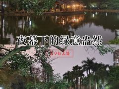 -金花茶公园