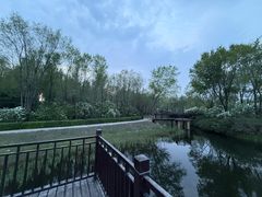 -群力丁香公园