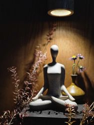 点击看大图 -阿南达·瑜伽普拉提·疗愈中心GZS