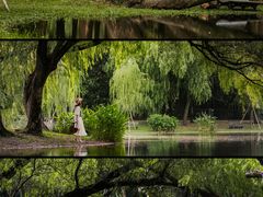 -上海共青森林公园