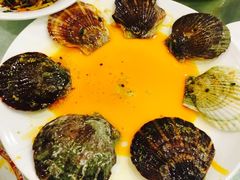 粉丝扇贝-国力仁和(凤城三路店)