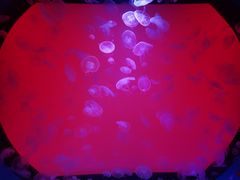 -沈阳海洋探索中心