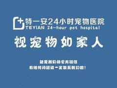 -特一安24小时宠物医院·骨科·中兽医