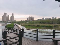 -前关湿地公园