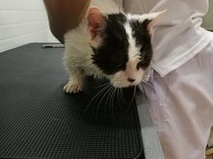 -Pets First伊珊娜洗护·精致美容·家庭式寄养(新会路店)