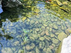 -绿色菜园·农家土菜(贤山店)