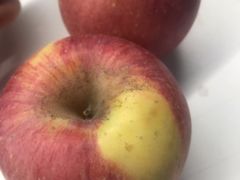 -上海龙吴水胜海发市场