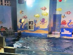 -太平洋海底世界