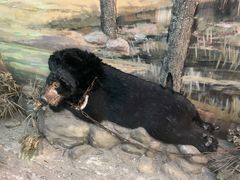 -北京动物园-畅观楼