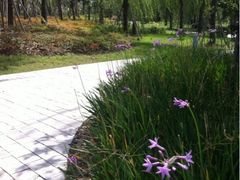 iphone_upload_pic-南翔镇银翔湖公园