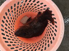 -秋姐美食店 始于2014年(旅游大道店)