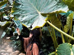 -沈阳植物园