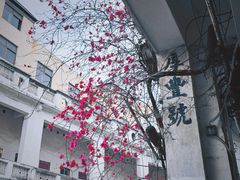 -海口骑楼老街历史文化街区