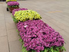 -北京市东郊殡仪馆