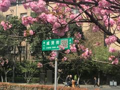 -鸡鸣赐茶(鸡鸣寺路店)