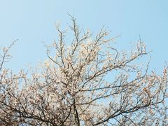 -东南大学(九龙湖校区)