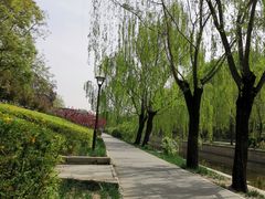 -元大都城垣遗址公园