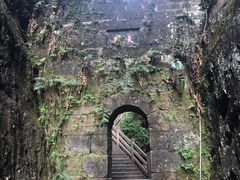 -冠豸山景区