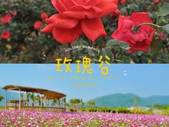 -亚龙湾国际玫瑰谷