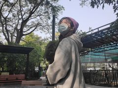 -九龙公园