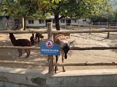 -西安秦岭野生动物园