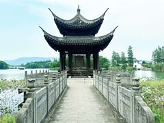 -尚湖风景区