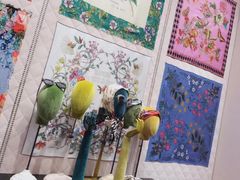 -Gucci(重庆IFS店)