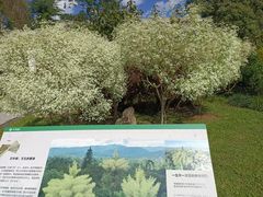 -中国科学院西双版纳热带植物园