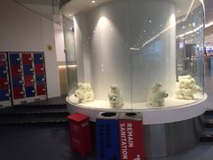 -冠军冰场CHAMPION RINK(凯德广场店)