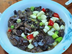 -青城甲(青城山店)