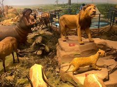 -陕西自然博物馆