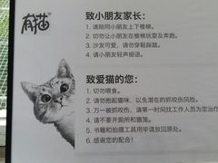 菜单-有猫主题·治愈系猫咖(曾厝垵店)
