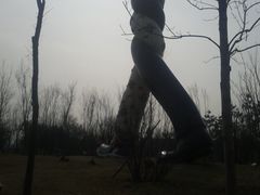 景点-西安世博园