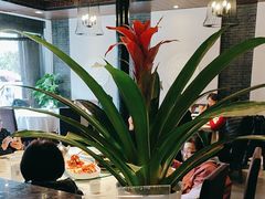 -松鹤楼(山塘街店)