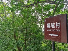 -紫金山天文台