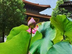 -西安大兴善寺