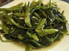 -南燕湾渔家码头